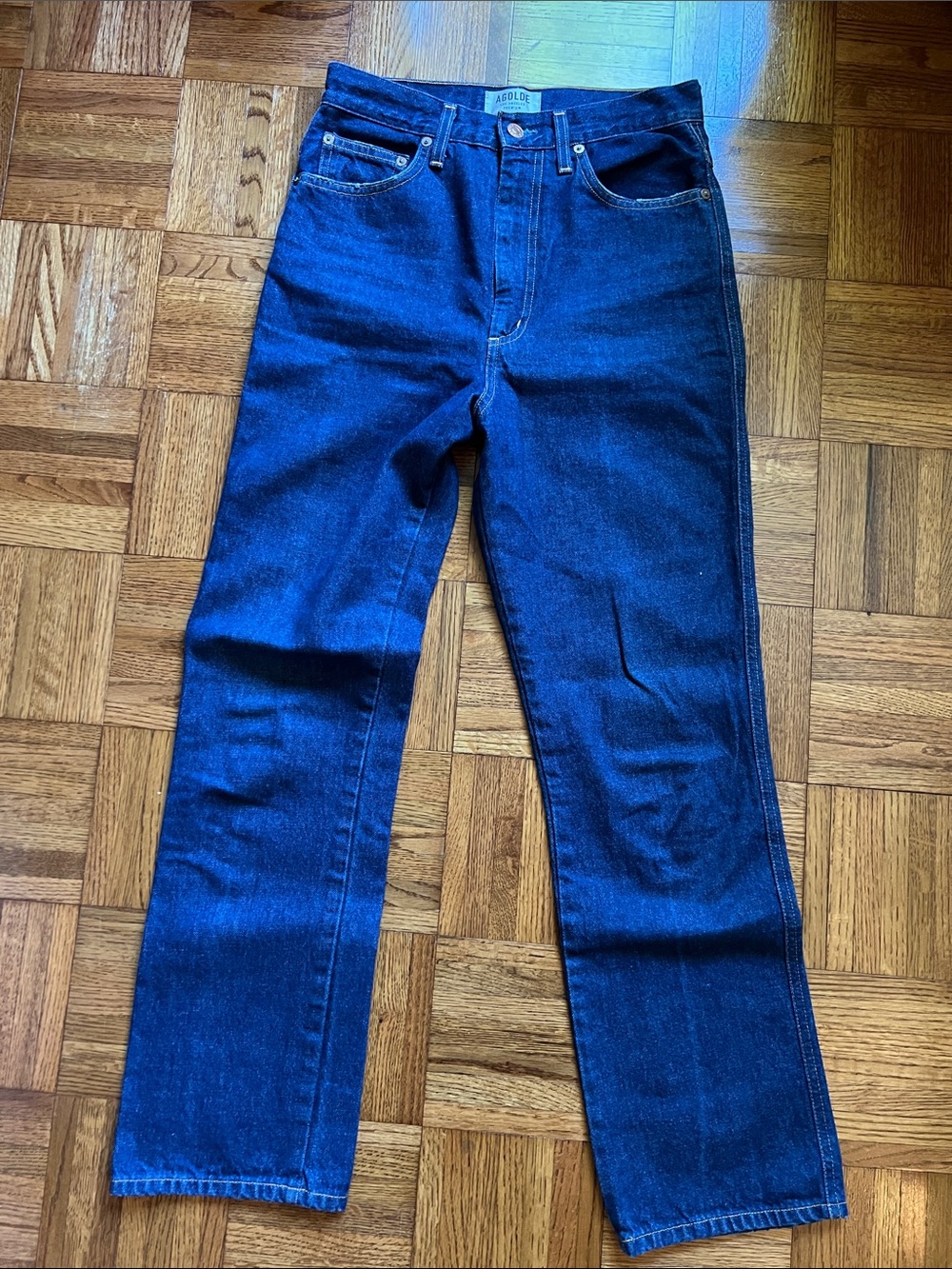 Agolde Pinch Waist Hi Rise Straight Leg Jeans in Dark Blue Denim